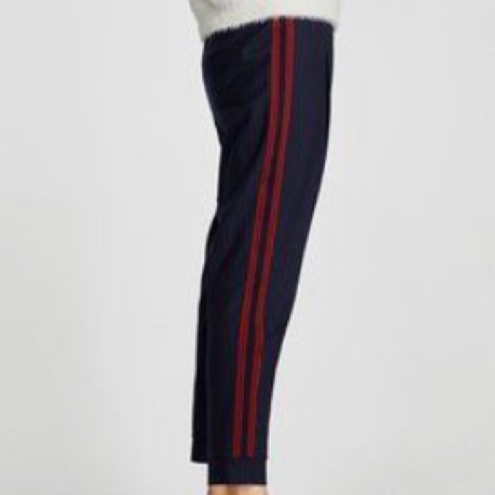 Zara Basic Blue & Red Pinstripe Trouser Pants Size Small